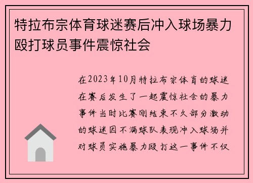 特拉布宗体育球迷赛后冲入球场暴力殴打球员事件震惊社会